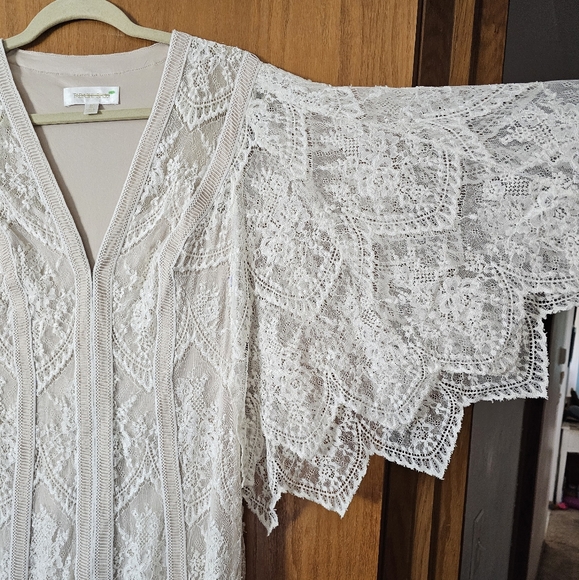 BHLDN x Tadashi Shoji Lorene Dress Gown Ivory Sz 10 Orig.$650 gently used - Picture 4 of 6